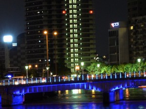 DSC_9535-1