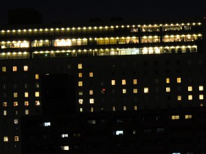 DSC_9535-2