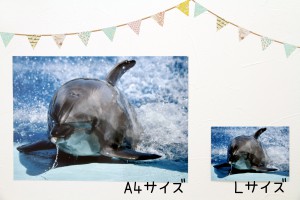 4.28ブログ画像のコピー
