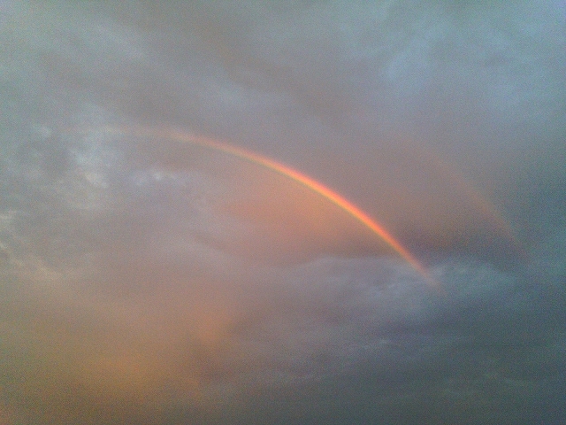 IMAGE001s-.jpg