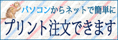 パソコンからは