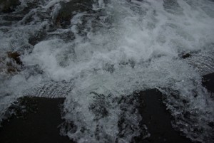 高速シャッターで撮ると。