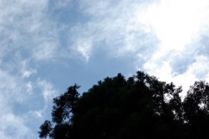 夏のひかりもこのとうり