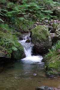 清流 三滝川Ⅱ