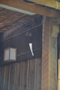 DSC_2275 (427x640)