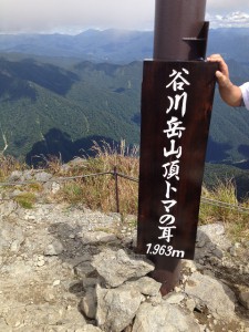10.ﾄﾏの耳