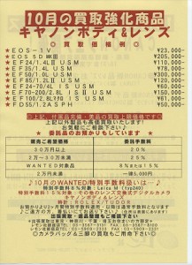 2014年10月チラシb_RR