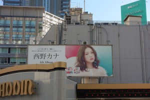 RX100M3望遠側 (1)