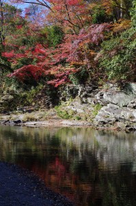 嵐山渓谷と槻川紅葉1