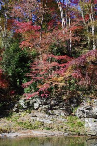 嵐山渓谷と槻川紅葉2