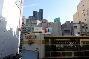 RX100M3広角側 (2)