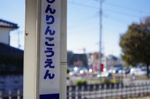 開放