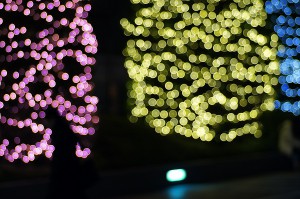 SONY DSC
