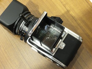 ﾊｯｾﾙﾌﾞﾗｯﾄﾞ 503CX(CH)標準ｾｯﾄ・3