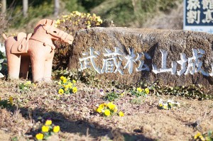 SONY DSC