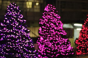 SONY DSC