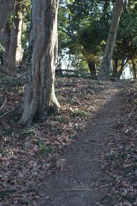 SONY DSC