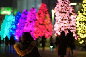 SONY DSC