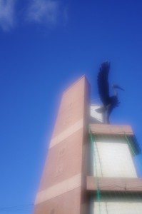 IMCB1233