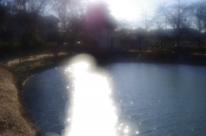 上沼公園