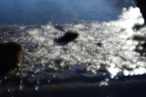 上沼公園