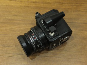 ﾊｯｾﾙﾌﾞﾗｯﾄﾞ　SWC M(BK)＋A12・4