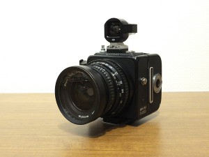 ﾊｯｾﾙﾌﾞﾗｯﾄﾞ　SWC M(BK)＋A12・1