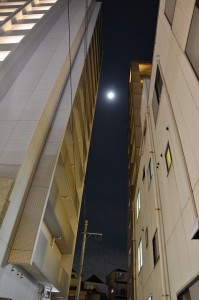D7000+18-105VR