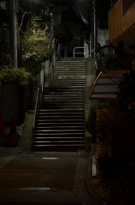 DSC_4345