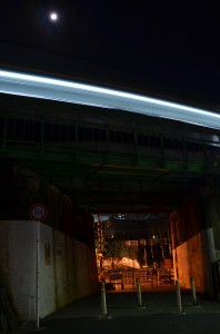 DSC_4362