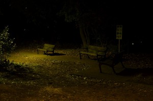 DSC_4401