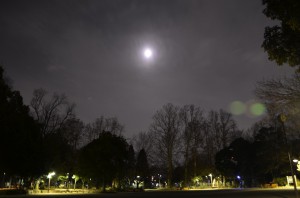 DSC_4410