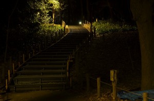 DSC_4424