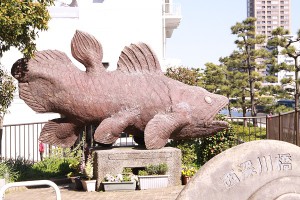 幸福の魚