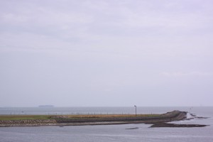 ﾀﾝｶｰと海ﾎﾀﾙ