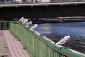 気持ち良さそう
