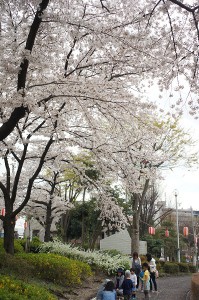 SONY DSC