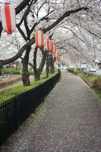 SONY DSC
