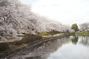 SONY DSC