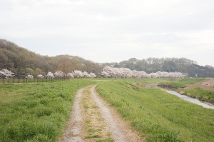 SONY DSC