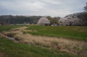 SONY DSC