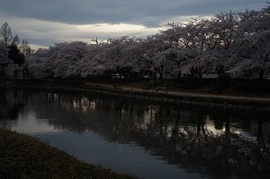 SONY DSC