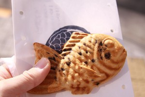 栄養補給