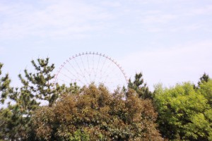 花とﾀﾞｲﾔの観覧車