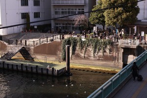 人も鳥も