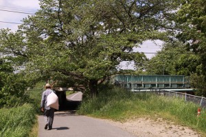 武蔵野線・線路下