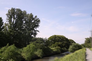 芝川・八丁橋