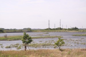 芝川第一調節池