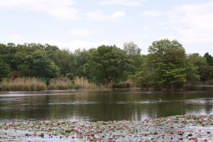 見沼自然公園