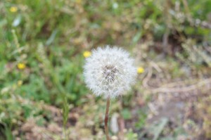 ｆ5.6